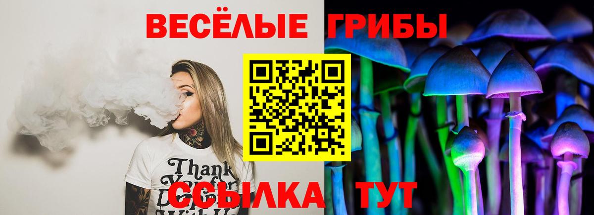 Галлюциногенные грибы Psilocybe Камышин