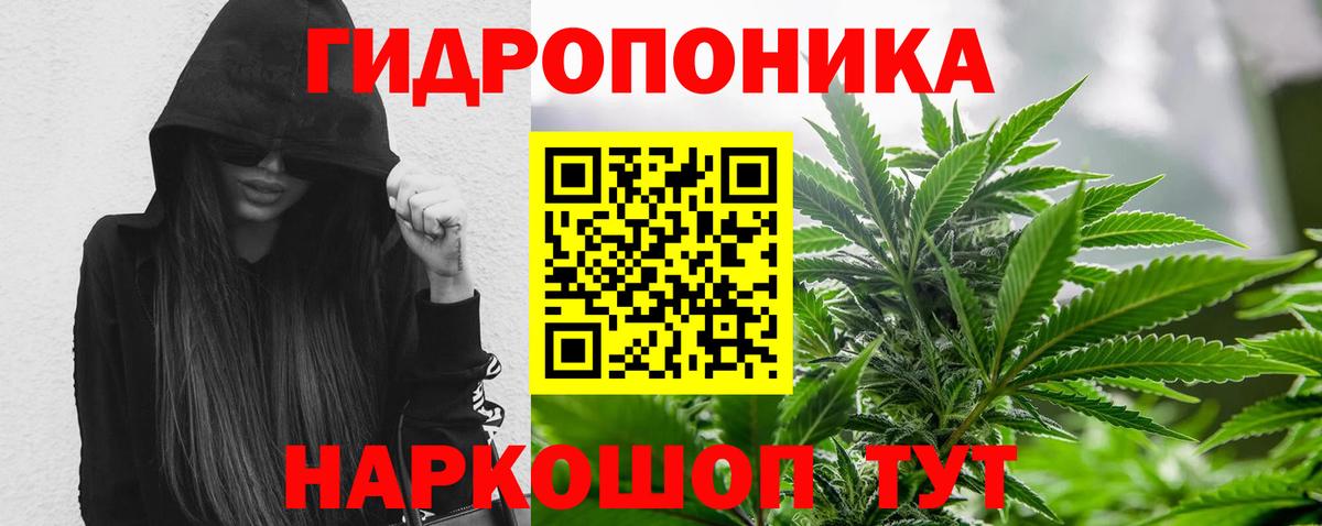 Бошки Шишки SATIVA & INDICA Камышин